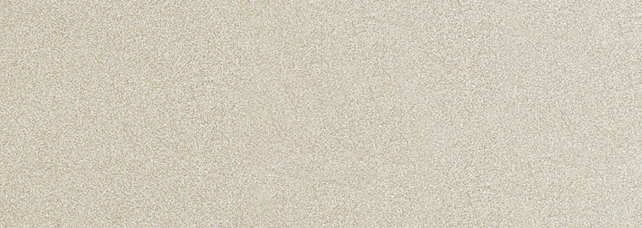 Стеновая панель Кедр White Galaxy ГЛЯНЕЦ, 4100*600*10мм