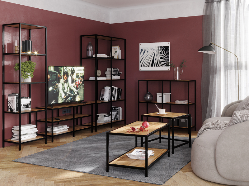 Тумба под ТВ Loft 1000х520х360 (каркас) черный